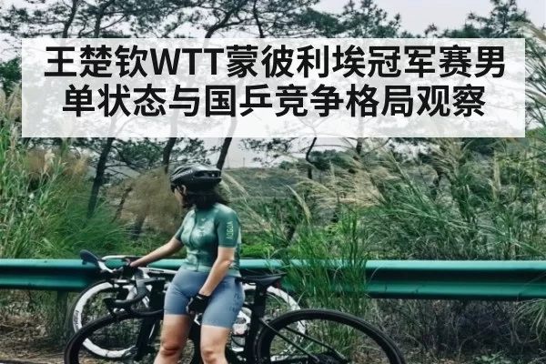 王楚钦WTT蒙彼利埃冠军赛男单状态与国乒竞争格局观察
